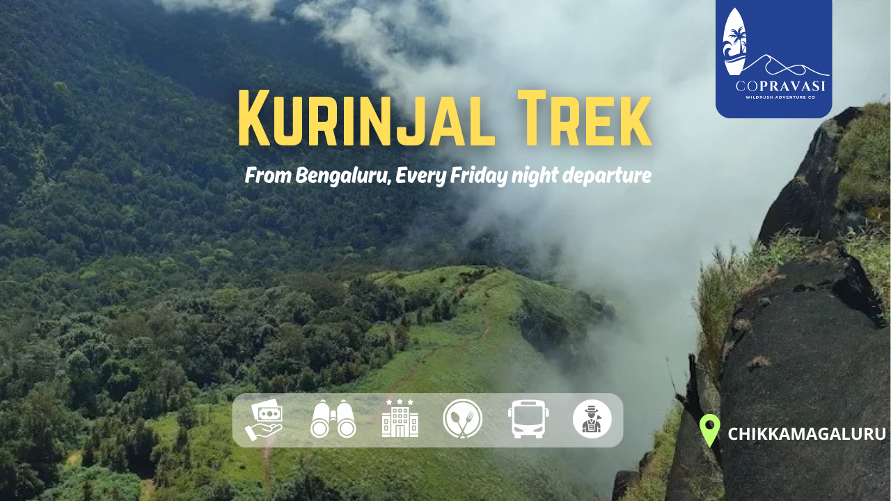Kurinjal Peak Trek From Bangalore – Ultimate Monsoon Adventure in Karnataka trek package